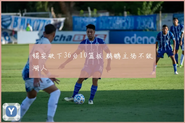 锡安砍下36分10篮板 鹈鹕主场不敌湖人